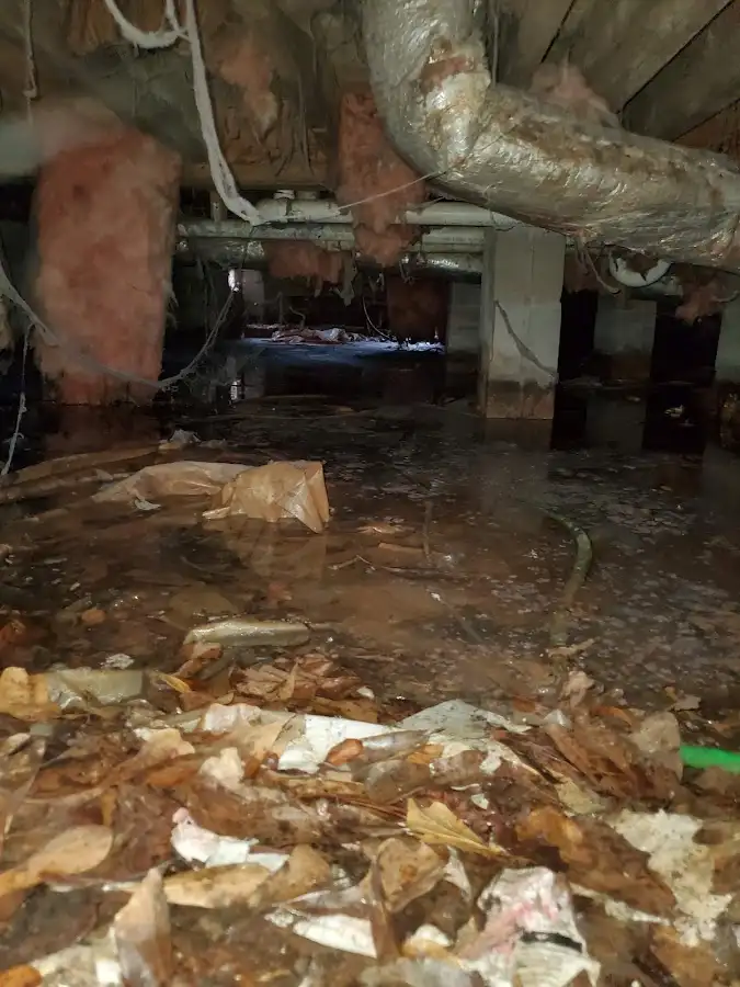 Crawl space flood assessment for Leak Detection & Repair in North Caldwell